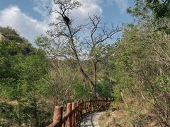 -北京凤凰岭