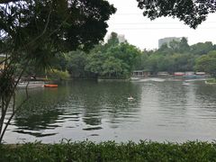 -晓港公园