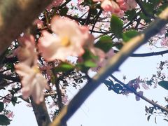 -杭州湖滨in77