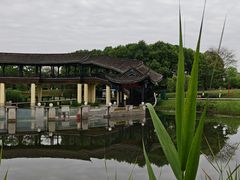 -眉山湿地公园(东坡区)