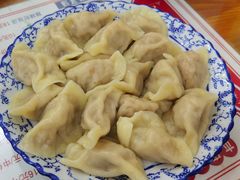 酸菜大肉饺子-东北熏肉大饼(大学南路店)