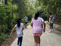 -三门江国家森林公园