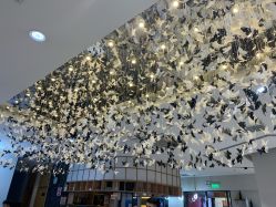 -京世沙龙