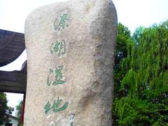 -溱湖国家湿地公园