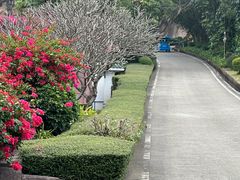 -广州莲花山旅游区