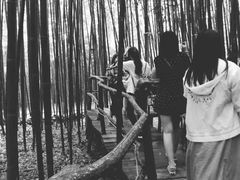 -竹泉村旅游度假区
