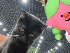 -夏家大锅台炖鱼馆