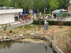 -大兴滨河森林公园