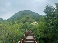 -大岭沟猕猴桃谷风景区