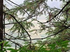 -紫鹊界梯田景区