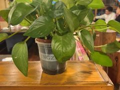 -靠山屯东北农家菜(八龙桥雅苑店)