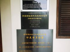 -南山植物园