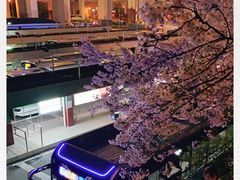 -上海南浦大桥长途旅游客运站