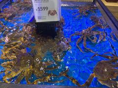 -盒马鲜生(大成店)