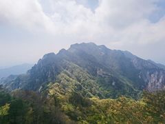 -王顺山国家森林公园