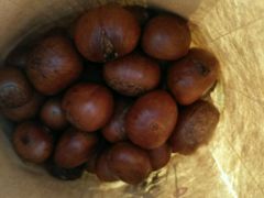 -小邢板栗(星悦广场店)