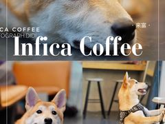 -Infica Coffee