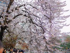 -红星桥(地铁站)