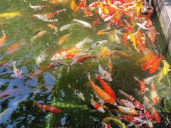 -番禺宾馆丽苑厅