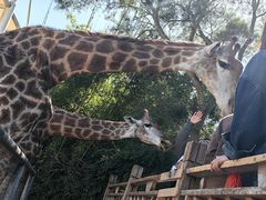 -泉州海丝野生动物世界