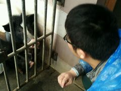 -太阳岛度假酒店