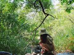 -碓臼峪自然风景区