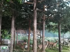 -吉林省自然博物馆