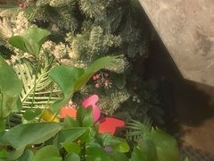 -泰古龙抓龙筋·spa按摩(静安店)