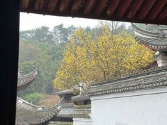 -宁波市保国寺古建筑博物馆