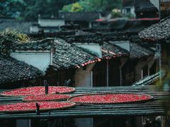 -篁岭景区