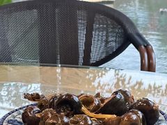 -生态苑农庄(十里画廊遇龙河店)