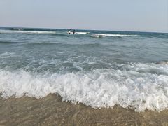 -西涌国际滨海旅游区