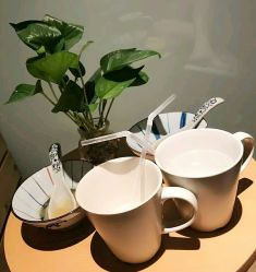 -美玫美容SPA护理中心