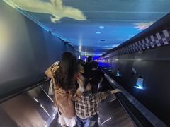 -白鹤梁水下博物馆