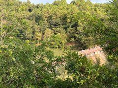 -广州白江湖森林公园