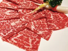-洋房火锅(上海新天地南北里店)