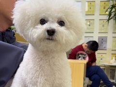 -美联众合动物医院·24h转诊中心