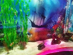 -梦幻海洋王国(吾悦广场张家港店)