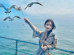-海驴岛(荣成市)
