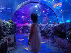 -沈阳海洋探索中心