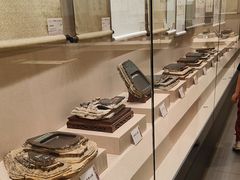 -兴隆文化园景区-兖州博物馆