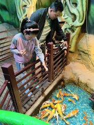 -酷嗒动物文化乐园(cutezoo西溪乐天城店)