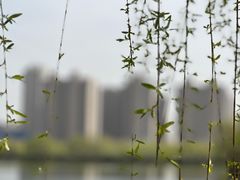 -咸阳湖景区