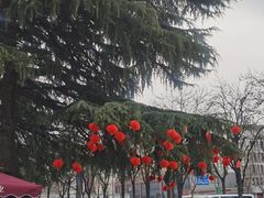 -西安市长乐公园