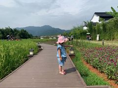 -禾悦庄餐厅