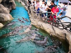 -华夏文旅海洋公园