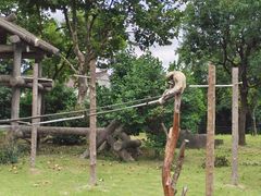 -上海野生动物园