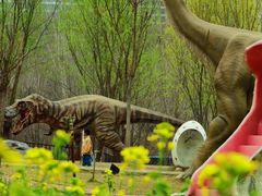 -西部长青自然儿童乐园