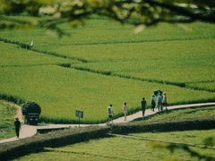 -靖西鹅泉风景区