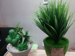 -炖物24章·顺时轻养茶(杭州保利时光里店)